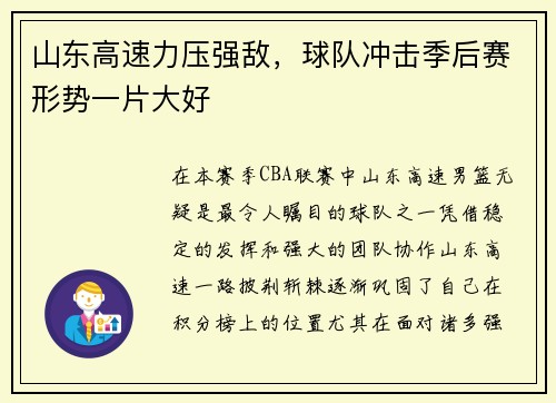 山东高速力压强敌，球队冲击季后赛形势一片大好